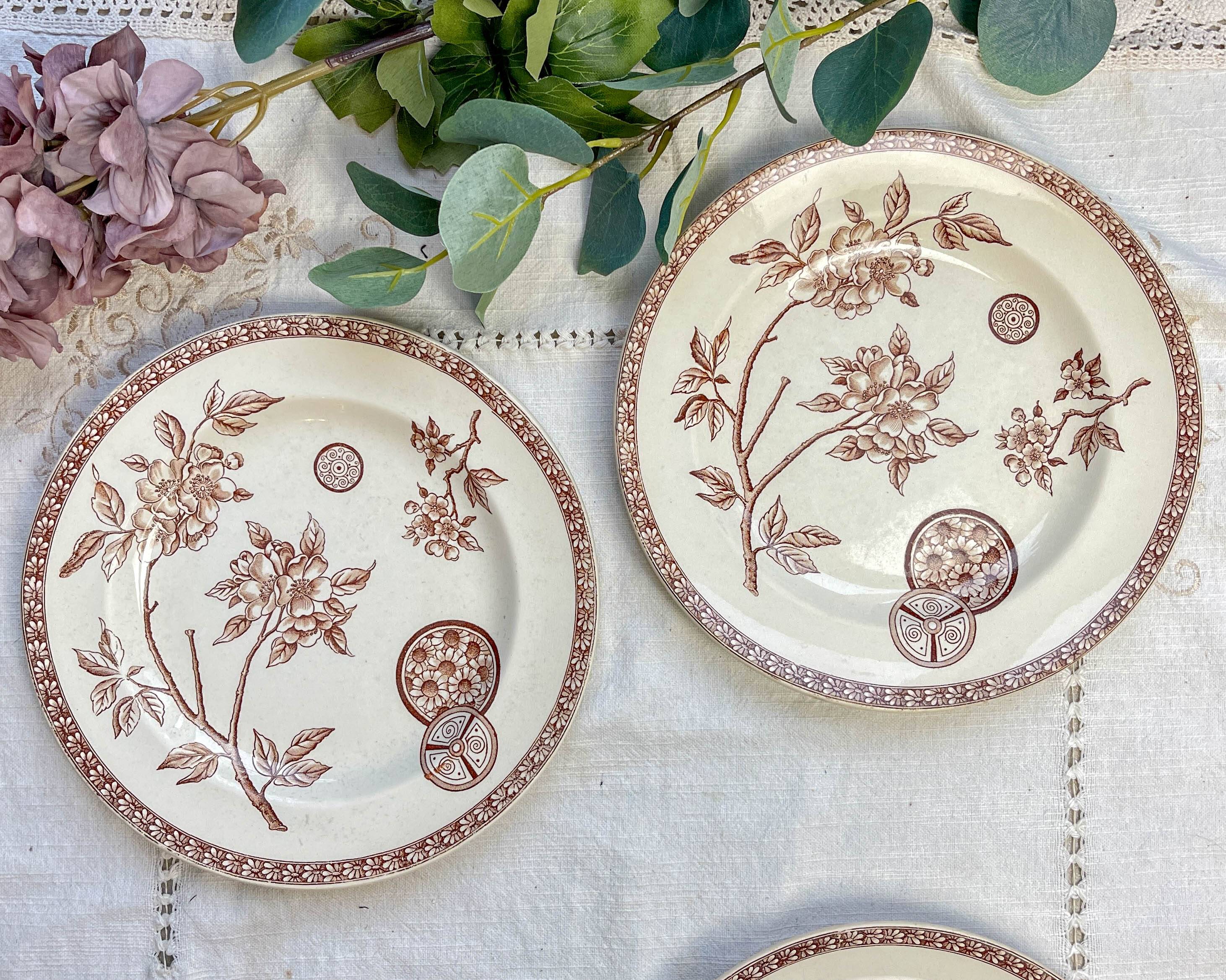 5 large old plates in brown ironstone - Grand Dépôt Paris