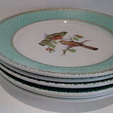 Flat plates water green birds