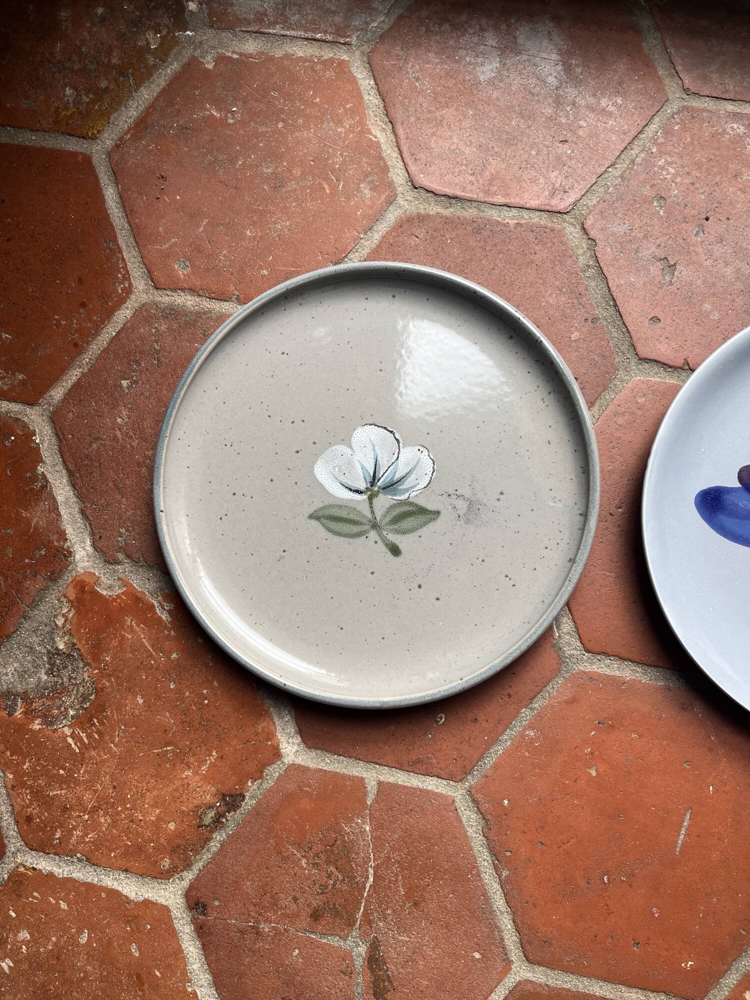 2 grandes assiettes bleues années 70