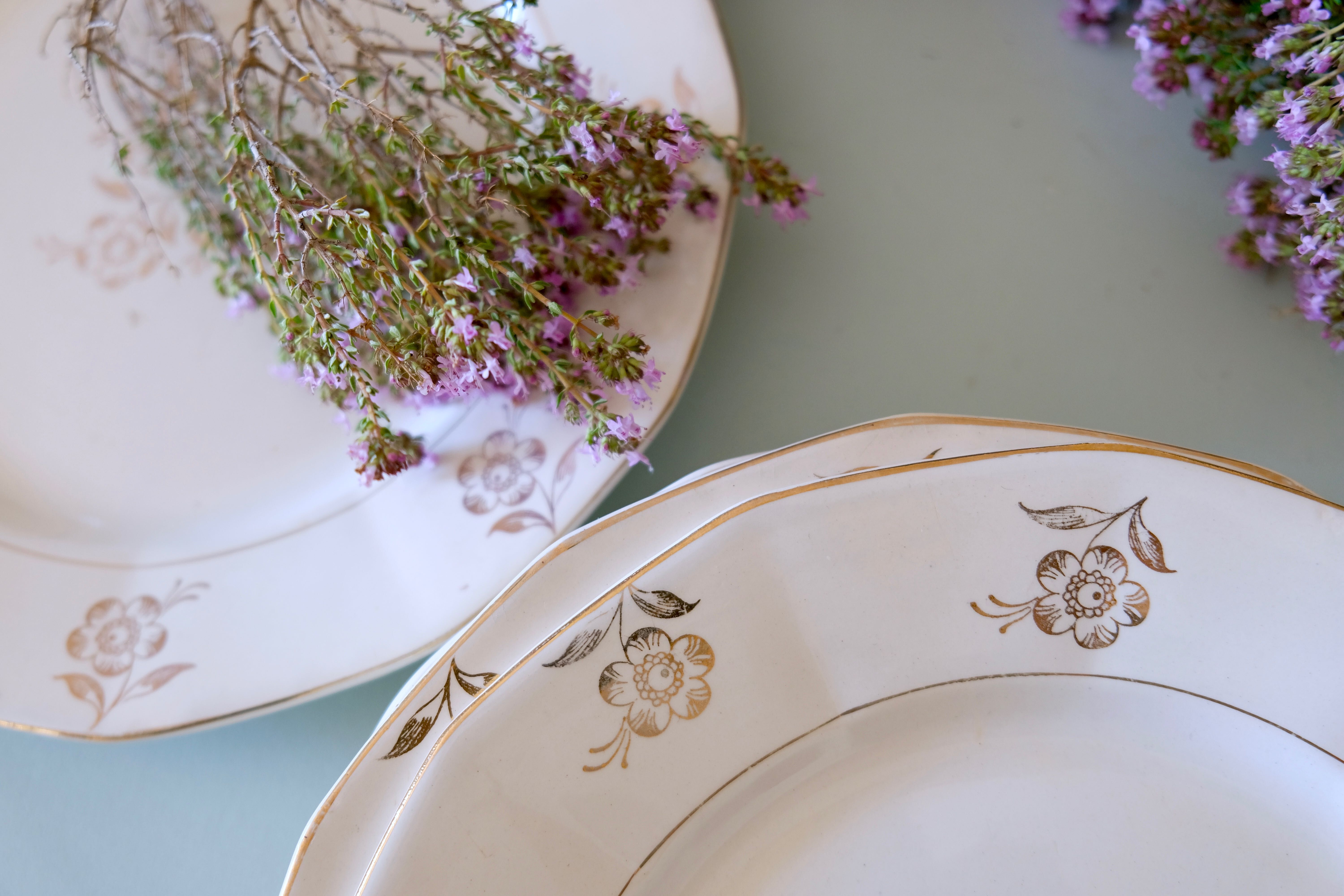 Set of opaque porcelain plates 'Raphael' from the French manufacturer Digoin-Sarreguemines