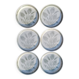 6 assiettes plates vintage, Chardons