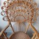 Fauteuil Peacock
