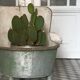 Ancient zinc basin