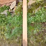 Antique wall coat rack