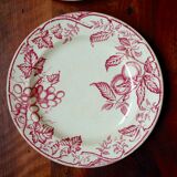 XIX old plates