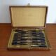 12 vintage Pradel cheese knives horn and stainless steel handles in case