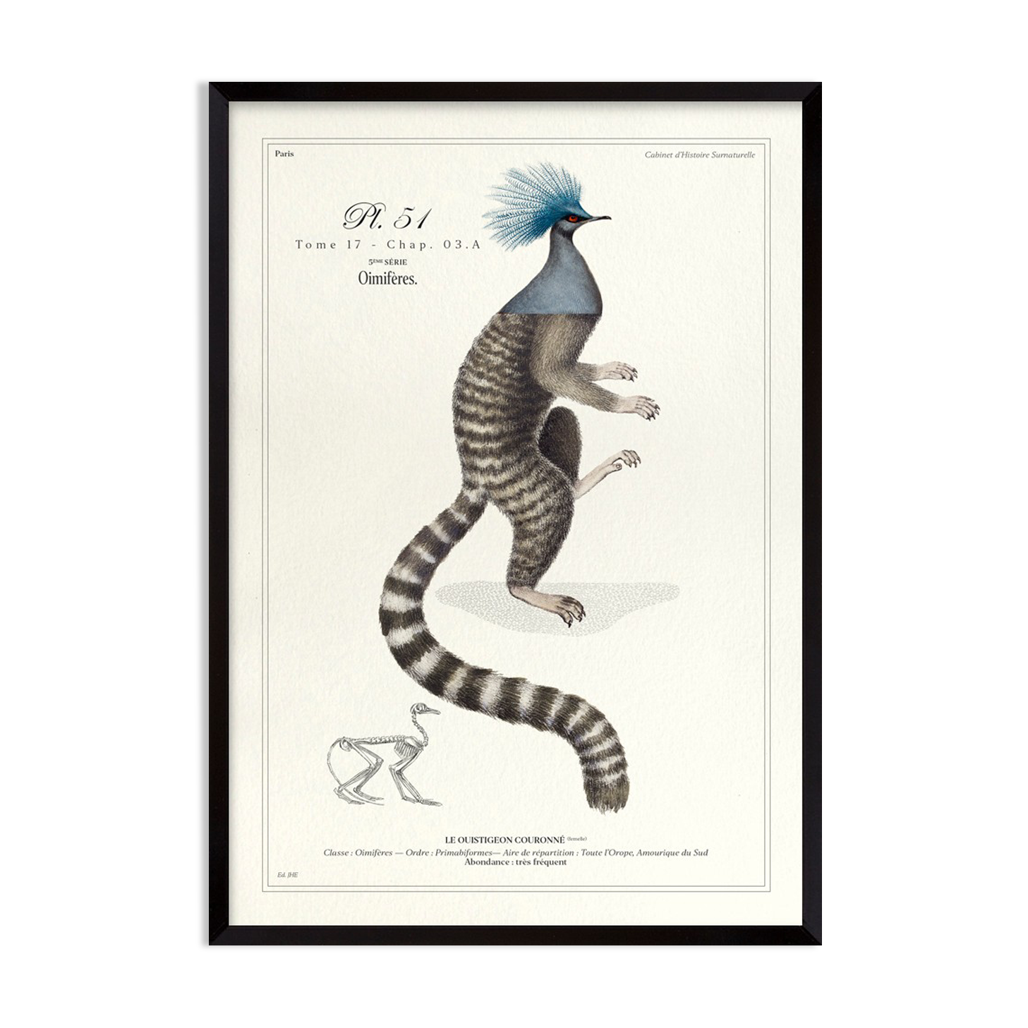 Chimera lithograph engraving animal - the marmoset