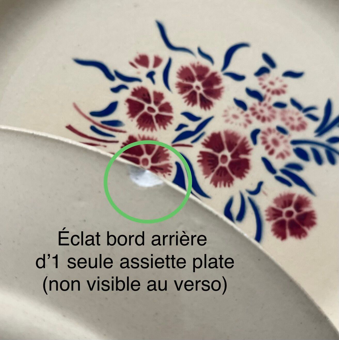 Set 12 assiettes plates « œillets » et plat Badonviller