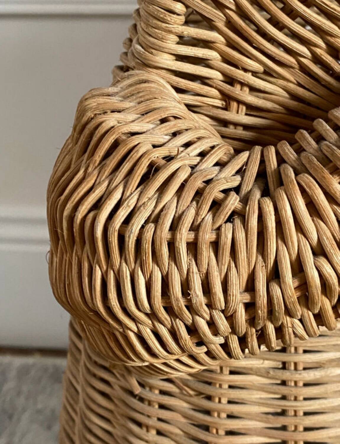 Willow frog Olivier Cajan