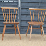 Pair of chairs by Lucian Ercolani