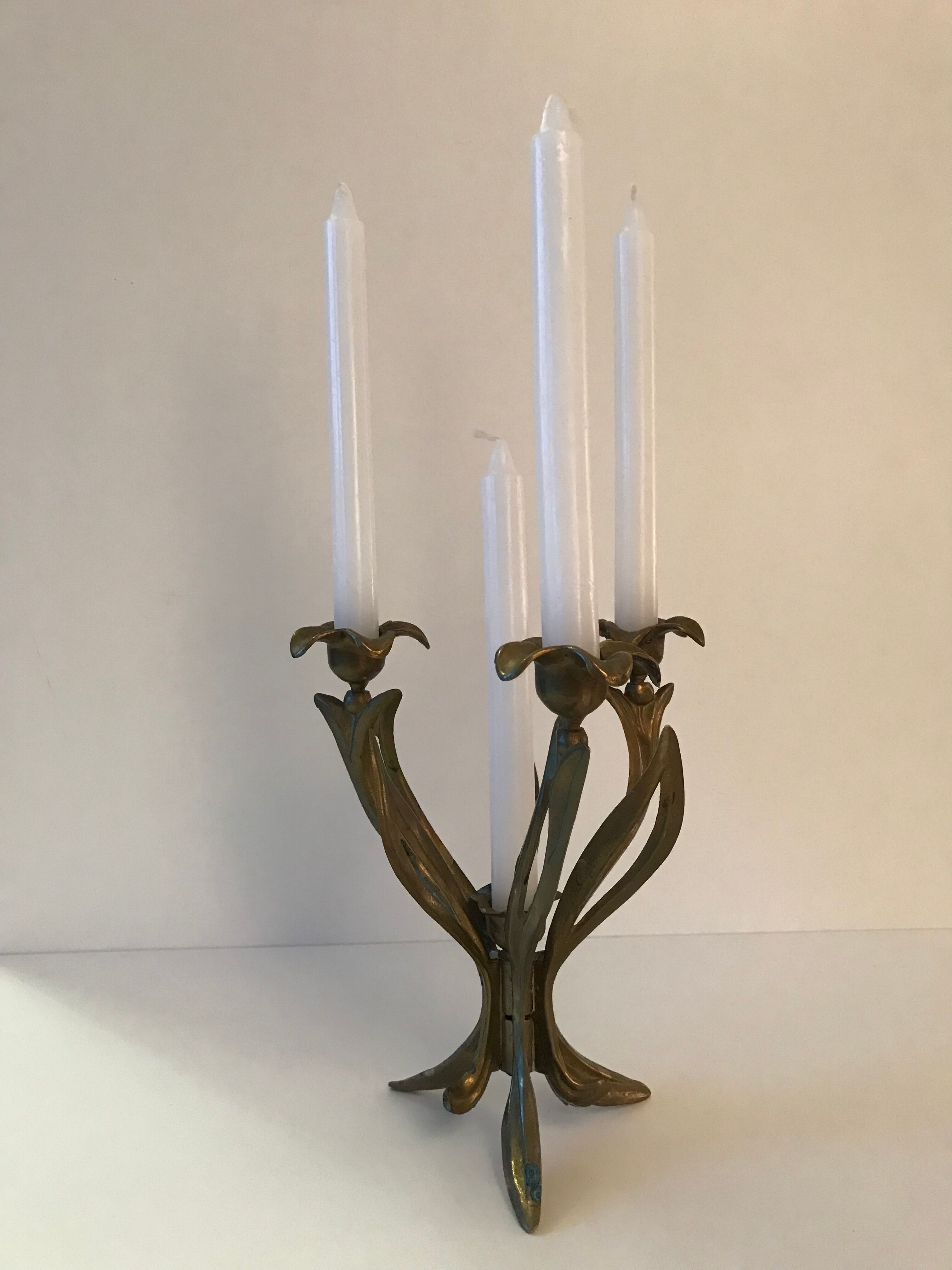 Candlestick lily flowers