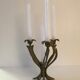 Candlestick lily flowers