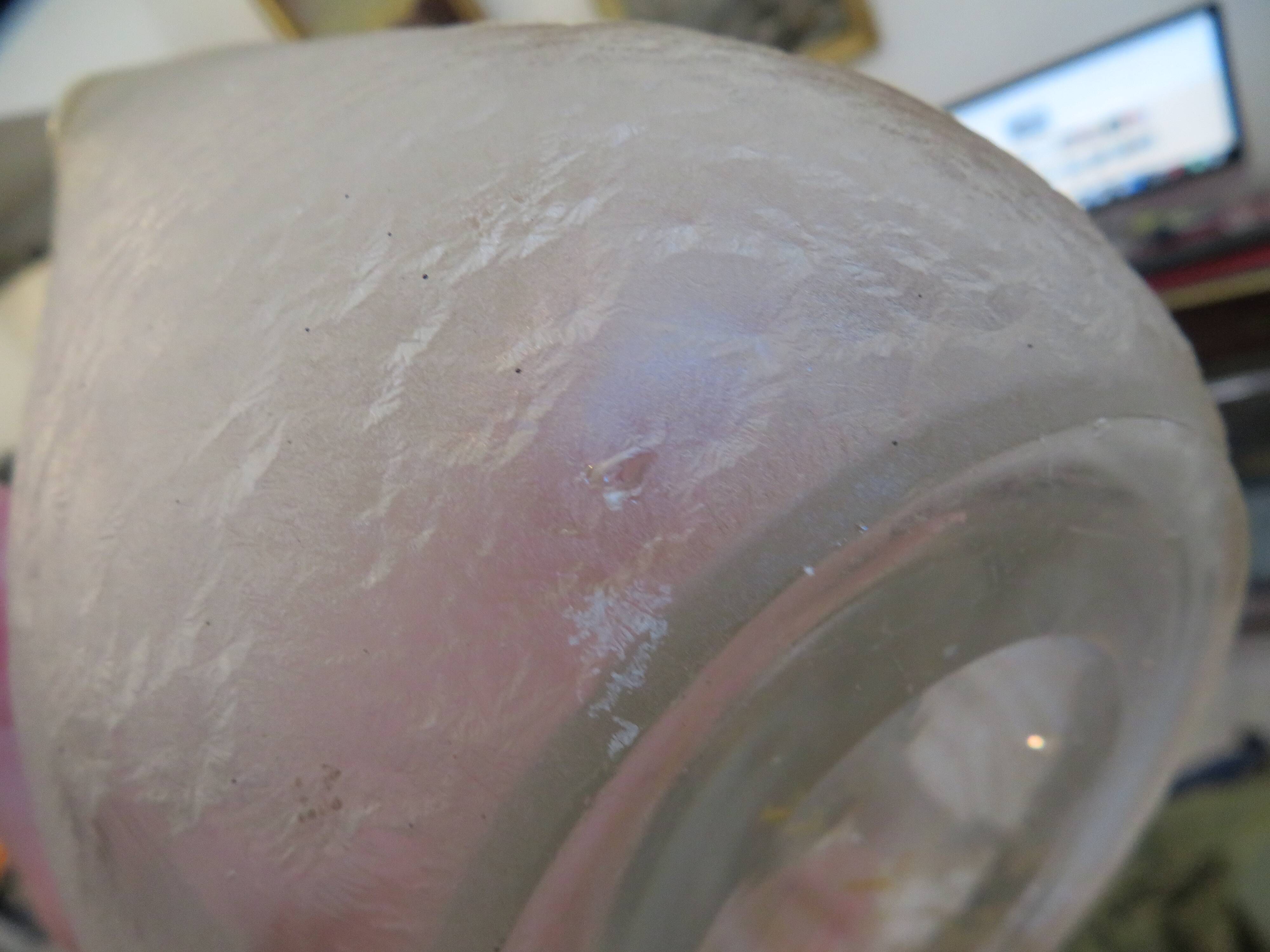 Beautiful acid-etched glass vase from Legras Saint Denis with chestnut tree decoration