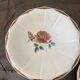 Pair of plates Digoin Sarreguemines