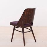 Set of 6 Dining Chairs by R. Hofman for TON, Model 514, 1960s, Reupholstered