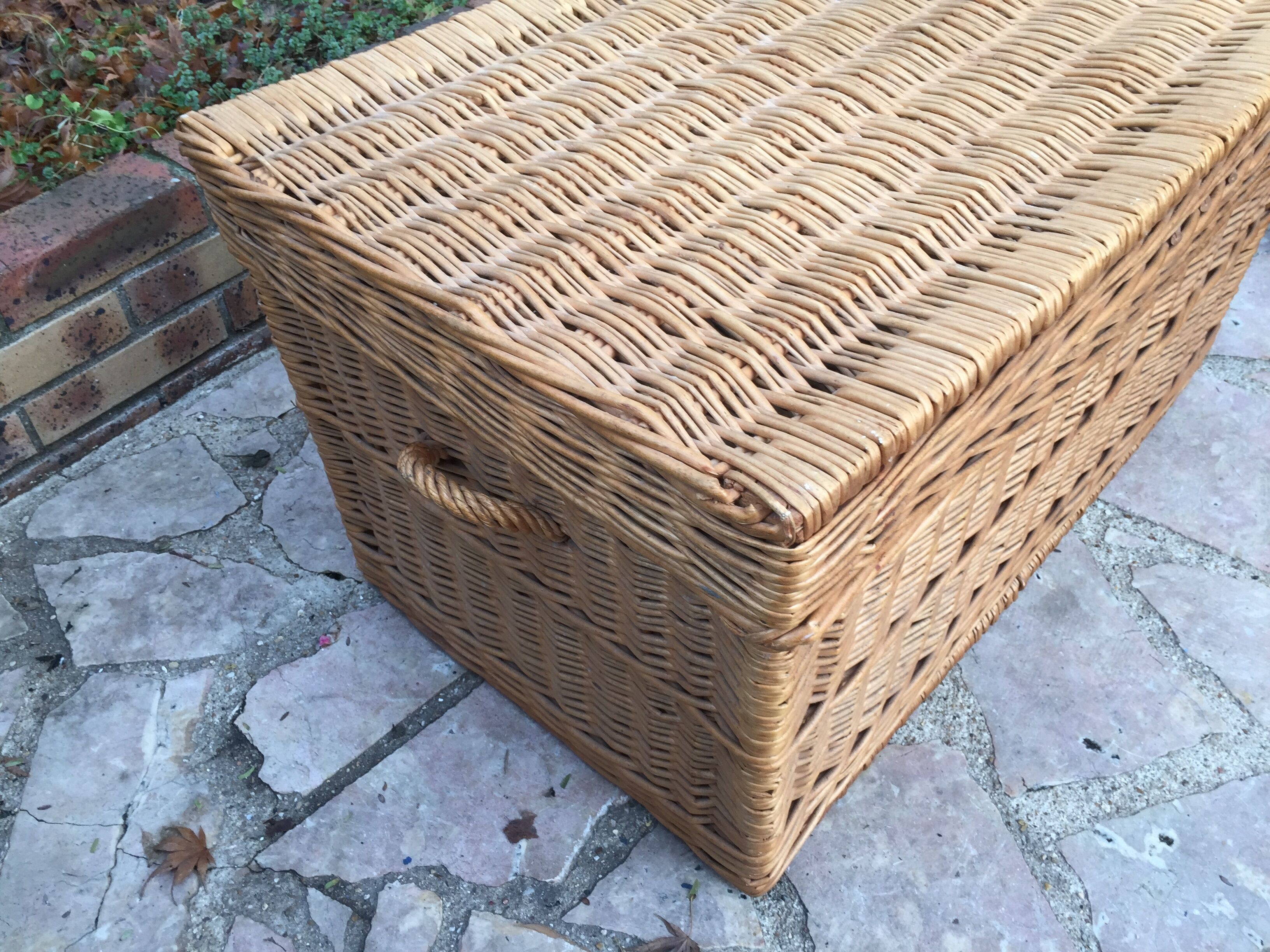 Wicker trunk