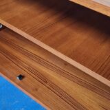 Scandinavian buffet 1960