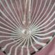 Grand pichet style Murano