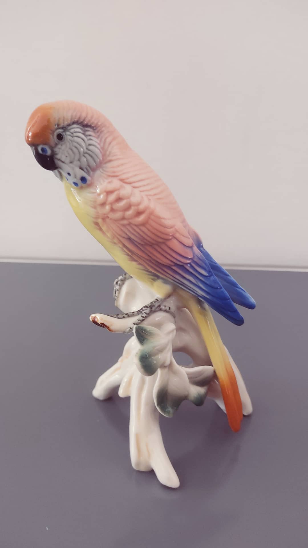 XIXth century porcelain parakeet of Saxony by Karl ENS