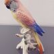 XIXth century porcelain parakeet of Saxony by Karl ENS