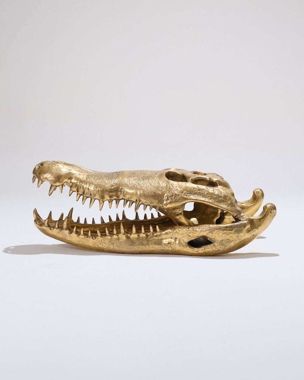 Large brass crocodile head