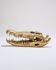 Large brass crocodile head