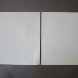 Set of 2 old bird engravings to frame