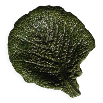 small dish of cabbage leaf slip