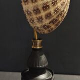Cabinet of Curiosities sea urchin toxopneustes pileolus on base