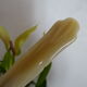 12 vintage dessert knives Coutellerie Lorraine - 24,5 cm