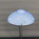 Lampe en fer forgé et abat-jour en verre bleu aux clématites, France, Art Déco, circa 1920