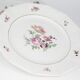 Lot de 5 assiettes Saint Amand ceranord