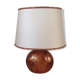 Lamp to lay The Dolphin's bitten foot