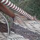 Set 2 rattan chairs 1900