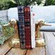 Paire serre livres canard vintage en laiton
