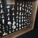 Showcase with fossil