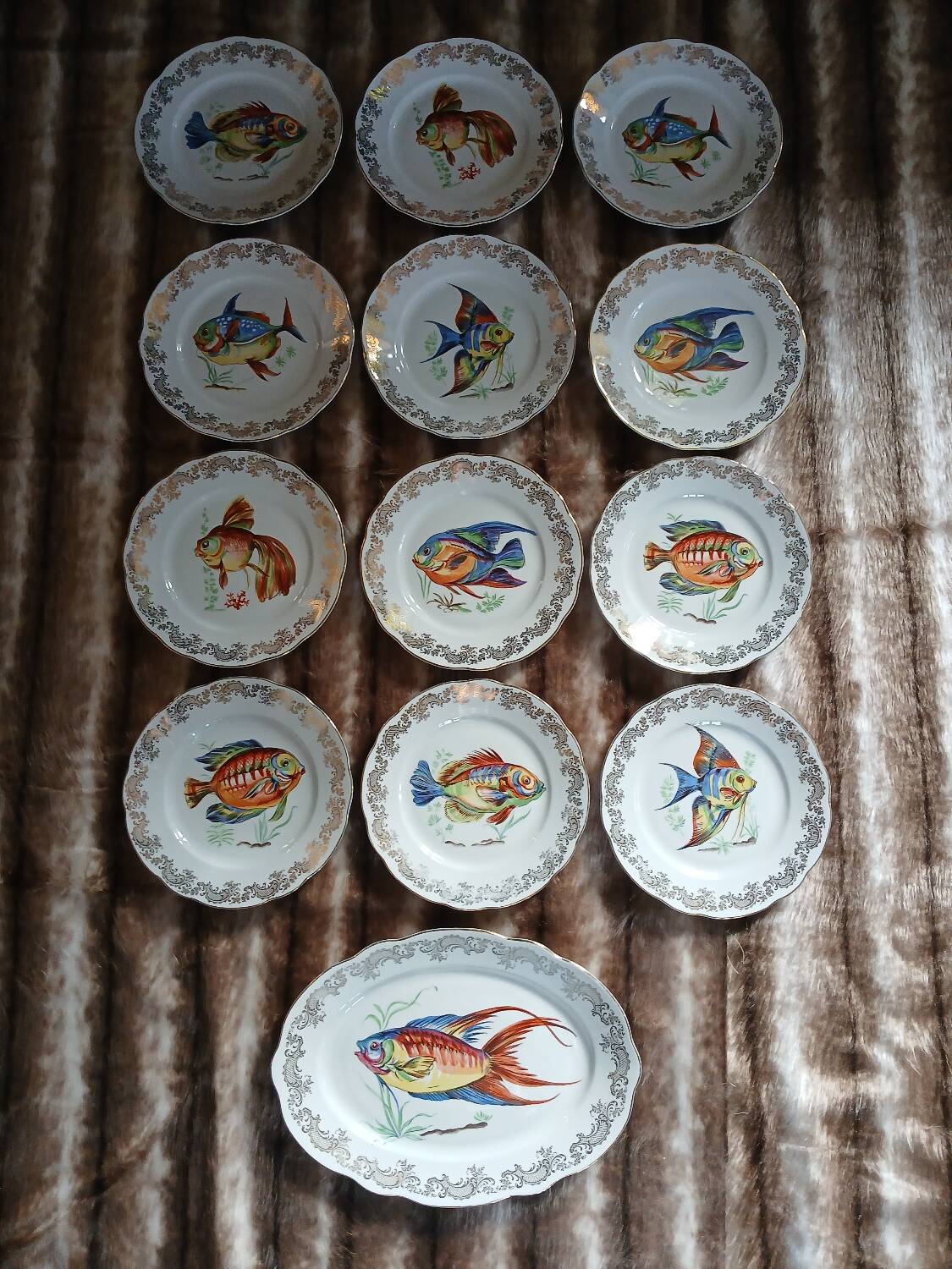 12 antique "Royal" dinner plates + 1 dish