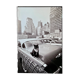 Fine Art Photography by Angelo Rizzuto “Cat on a Car” – New York, 1958