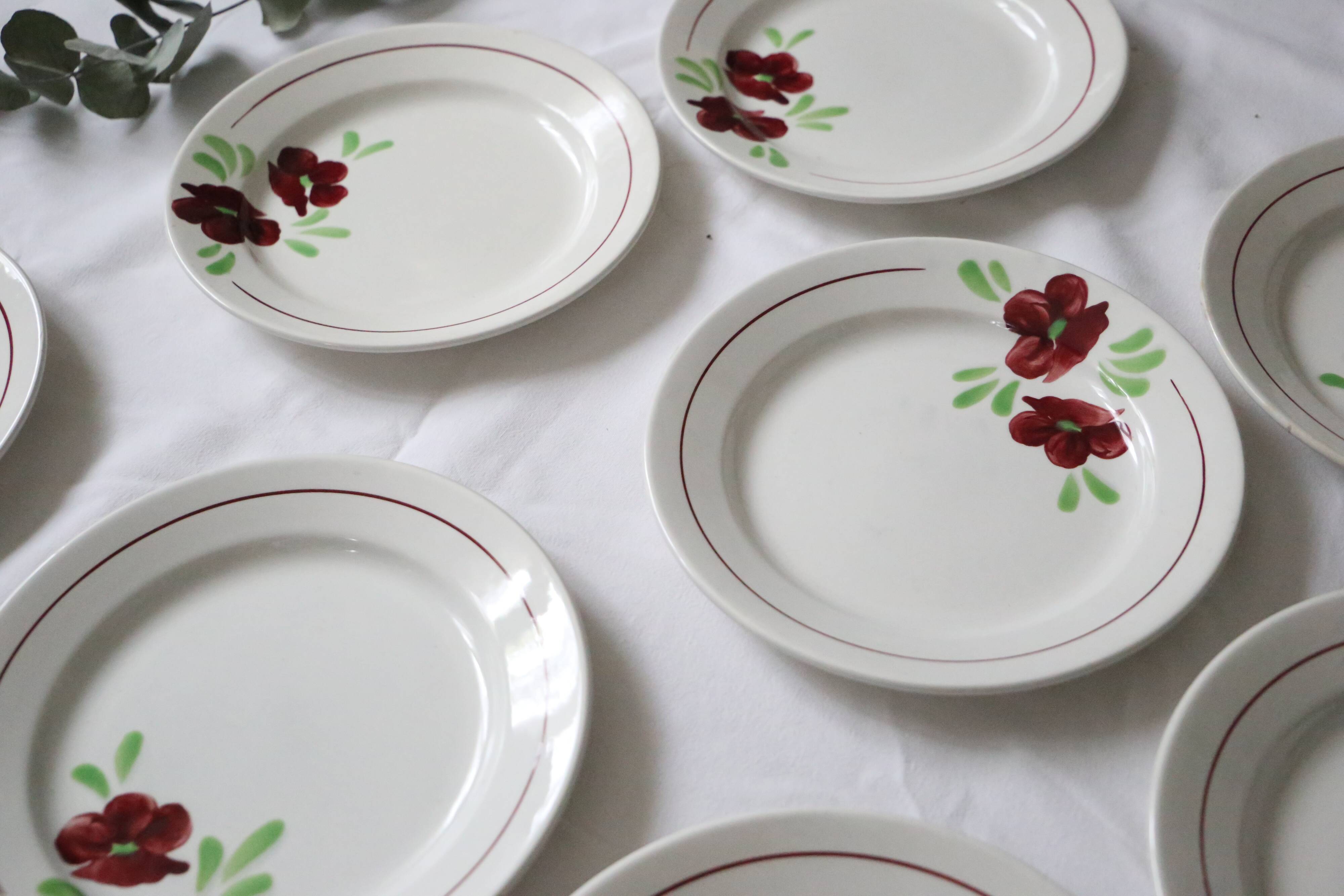 Set of 9 flat plates Salins, Ninon pattern, French vintage, authentic, rare, countryside
