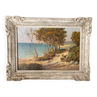 Midday landscape