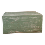 Old and large trunk