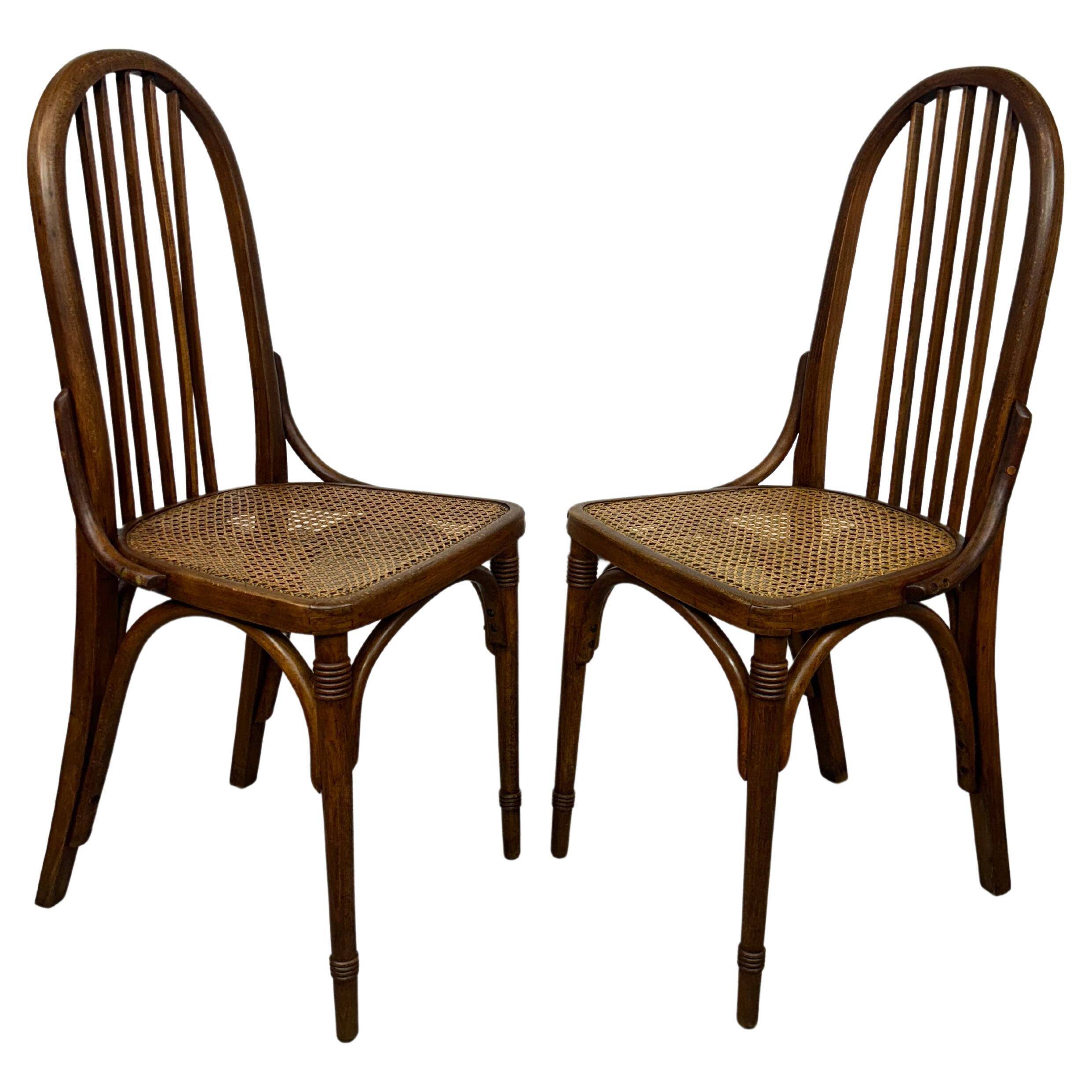 Dining chairs Secession N369A by Josef Hoffmann