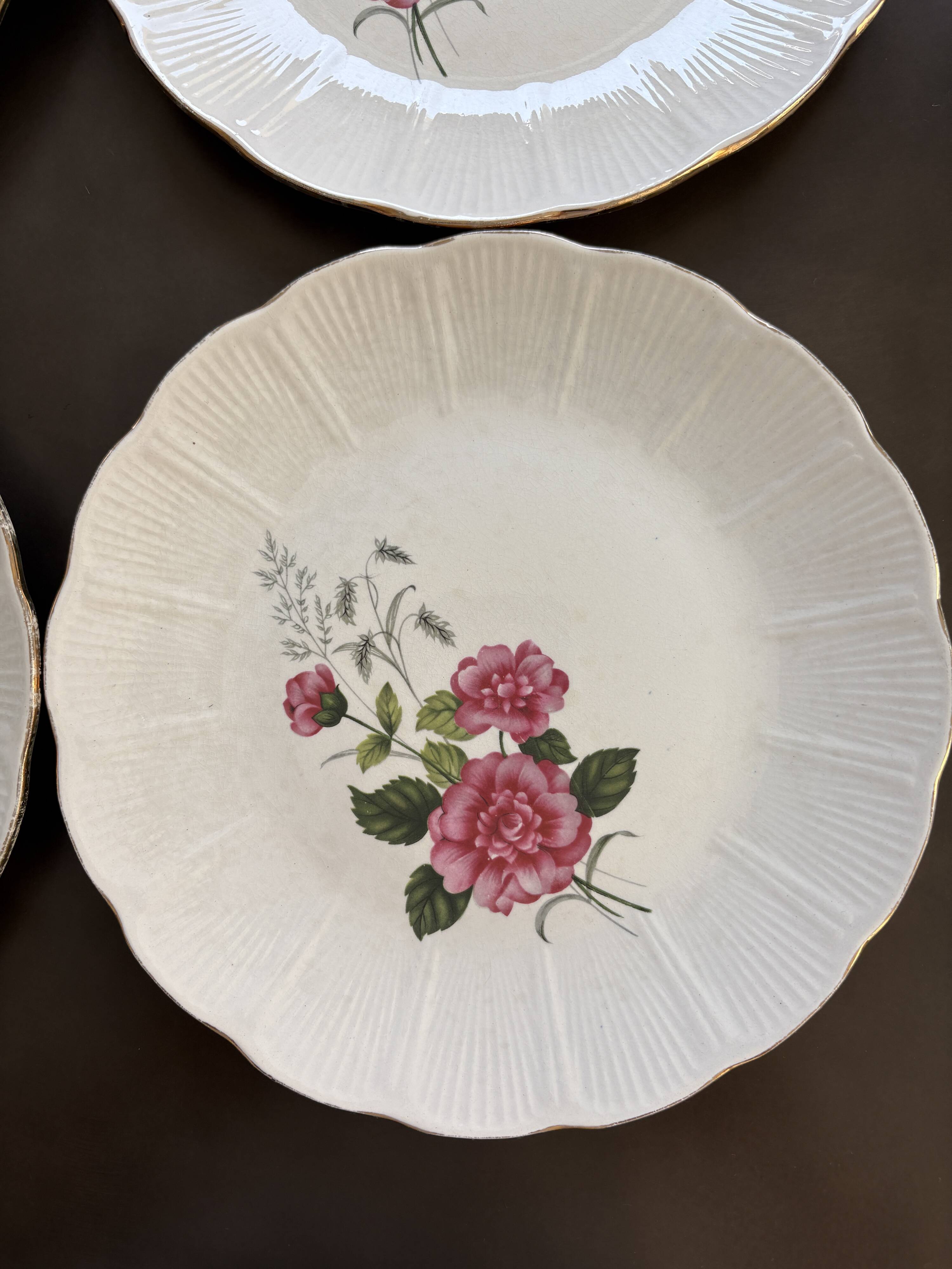 8 Amandinoise dinner plates