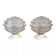 Pair of wall sconces in glass flower shape