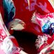 vintage Vallauris fish lamp