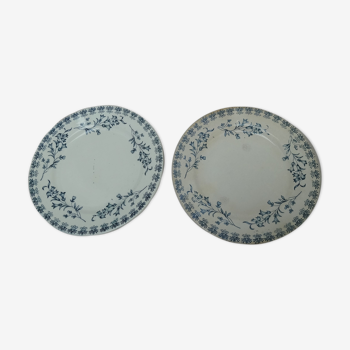 Lot de 2 assiettes plates motif campanules