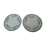 Set of 2 flat plates campanula pattern