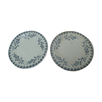 Set of 2 flat plates campanula pattern