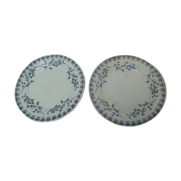 Set of 2 flat plates campanula pattern