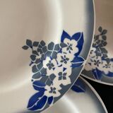 Lot 6 flat plates, 1 dish, 1 Ceranord Saint Amand Vintage 1950s dish